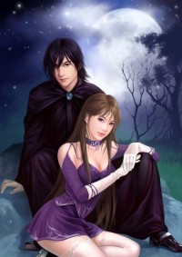 我的完美雙胞胎老婆